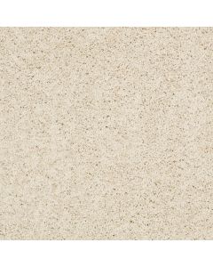 Shaw AG TIMELESS Canvas Carpet - SH-0A532-00121