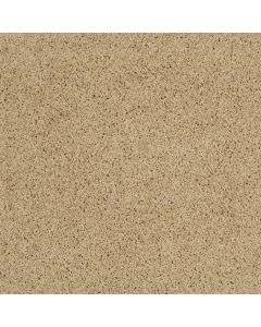 Shaw AG TIMELESS Shore Land Carpet - SH-0A532-00125