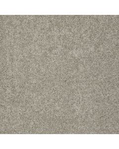 Shaw AG TIMELESS Rice Paper Carpet - SH-0A532-00760