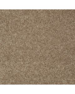 Shaw AG TIMELESS Georgia Clay Carpet - SH-0A532-00767