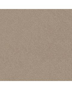 Shaw AG TWO STEP Wet Sand Carpet - SH-0A586-00122