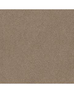 Shaw AG TWO STEP Kidskin Carpet - SH-0A586-00720