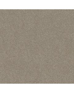 Shaw AG TWO STEP Evening Shadows Carpet - SH-0A586-00722