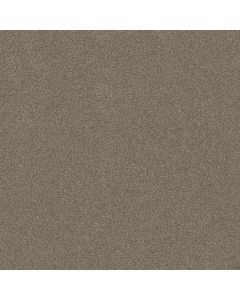 Shaw AG TWO STEP Cocoon Carpet - SH-0A586-00724