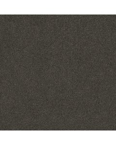 Shaw AG TWO STEP Espresso Carpet - SH-0A586-00725