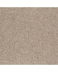 Shaw AG TWO STEP Fence Post Carpet - SH-0A586-00729