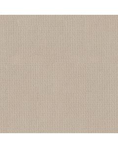 Shaw AG WHAT IT TAKES Paper Lantern Carpet - SH-0A590-33001