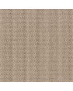 Shaw AG WHAT IT TAKES Manila Carpet - SH-0A590-33004