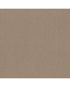 Shaw AG WHAT IT TAKES Wicker Carpet - SH-0A590-33005