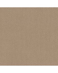Shaw AG WHAT IT TAKES Croissant Carpet - SH-0A590-33007