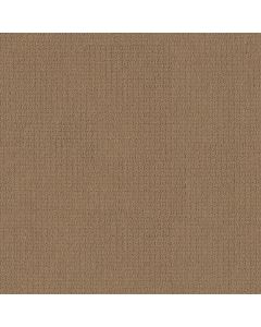 Shaw AG WHAT IT TAKES Moon Slice Carpet - SH-0A590-33008