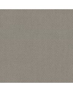 Shaw AG WHAT IT TAKES Mysterious Carpet - SH-0A590-33012