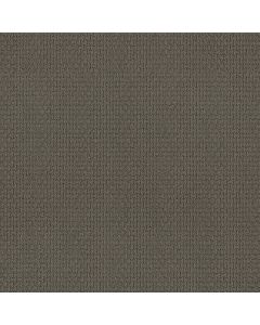Shaw AG WHAT IT TAKES Marble Carpet - SH-0A590-33015