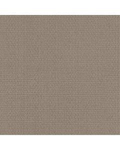 Shaw AG WHAT IT TAKES Oatmeal Carpet - SH-0A590-33019