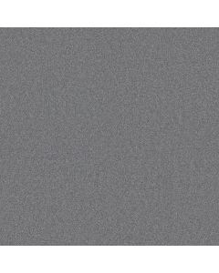 Shaw AG EXCEPTIONAL Armory Carpet - SH-0A642-00530