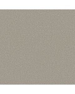 Shaw AG SENSATIONAL Chenille Carpet - SH-0A643-00138