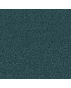 Shaw AG SENSATIONAL Country Club Carpet - SH-0A643-00444