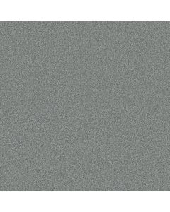 Shaw AG SENSATIONAL Armory Carpet - SH-0A643-00530