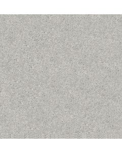 Shaw AG ALLURING Creative Carpet - SH-0A664-00542