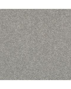 Shaw AG ALLURING Little Dipper Carpet - SH-0A664-00543