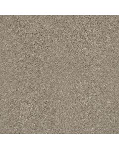 Shaw AG ALLURING Stunning Carpet - SH-0A664-00783