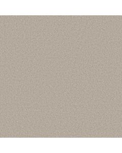Shaw AG True Delight I Country Cobblestone Carpet - SH-0A705-00124