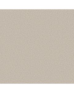 Shaw AG True Delight I Delicate White Carpet - SH-0A705-00135