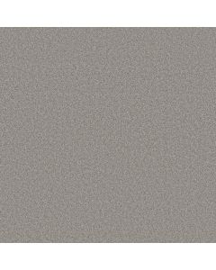 Shaw AG True Delight I Lasso Mystique Carpet - SH-0A705-00524