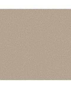 Shaw AG True Delight I Flax Carpet - SH-0A705-00733