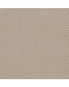 Shaw AG In The Loop Crisp Linen Carpet - SH-0A707-70100