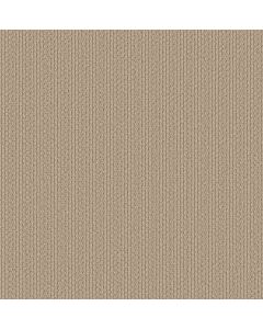 Shaw AG In The Loop Muslin Carpet - SH-0A707-70102
