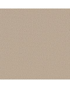 Shaw AG In The Loop Coastland Carpet - SH-0A707-70103