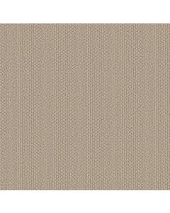 Shaw AG In The Loop Pale Beach Carpet - SH-0A707-70107