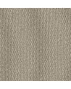 Shaw AG In The Loop Meadows Carpet - SH-0A707-70108
