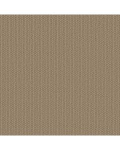 Shaw AG In The Loop Cobblestone Carpet - SH-0A707-70109