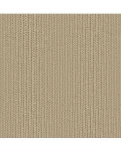 Shaw AG In The Loop Morning Blend Carpet - SH-0A707-70200