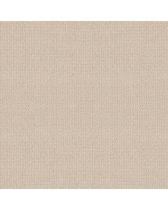 Shaw AG Relaxed Living Delicate Carpet - SH-0A708-80100
