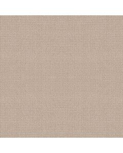 Shaw AG Relaxed Living Shell Carpet - SH-0A708-80102