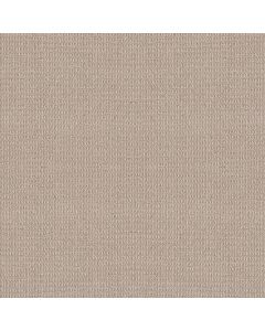 Shaw AG Relaxed Living Bashful Carpet - SH-0A708-80103