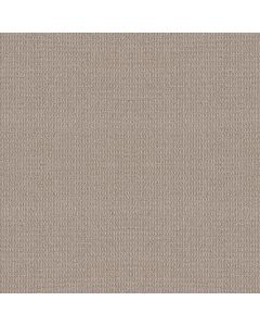 Shaw AG Relaxed Living Eureka Carpet - SH-0A708-80104