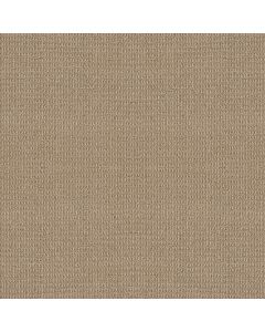 Shaw AG Relaxed Living Caramelo Carpet - SH-0A708-80200