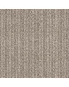 Shaw AG Relaxed Living Stonewall Carpet - SH-0A708-80500