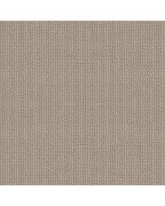 Shaw AG Relaxed Living Quarry Carpet - SH-0A708-80501