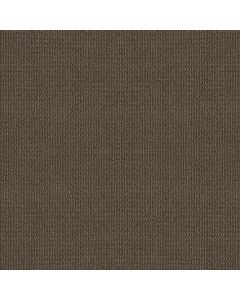 Shaw AG Relaxed Living Shadow Carpet - SH-0A708-80703
