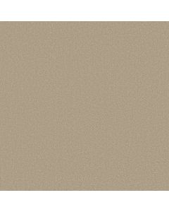 Shaw ULTIMATE EXPRESSION 12' Oatmeal Carpet - SH-19698-00104