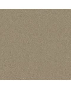 Shaw ULTIMATE EXPRESSION 12' Soft Shadow Carpet - SH-19698-00105