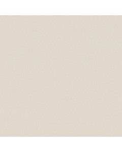 Shaw ULTIMATE EXPRESSION 12' Sweet Cream Carpet - SH-19698-00109