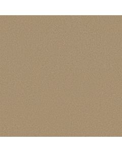 Shaw ULTIMATE EXPRESSION 12' Stucco Carpet - SH-19698-00110