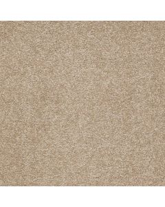 Shaw ULTIMATE EXPRESSION 12' Sahara Carpet - SH-19698-00205