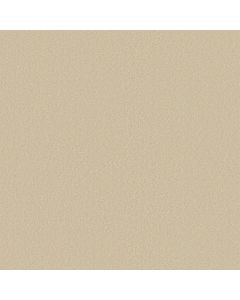 Shaw ULTIMATE EXPRESSION 15' Mushroom Carpet - SH-19829-00101
